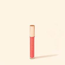 Load image into Gallery viewer, Argan Natural Volume Lip Gloss