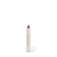 Load image into Gallery viewer, Argan Chubby Lip Butter

