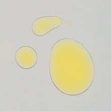 Load image into Gallery viewer, Skin Dope Argan Oil + Hemp Seed Oil
