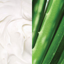 Load image into Gallery viewer, Whipped Argan Oil Body Butter
